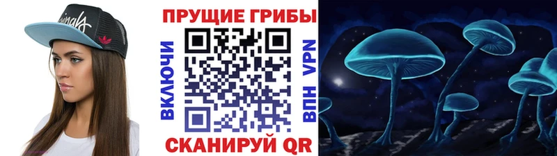 Галлюциногенные грибы Psilocybe Бор